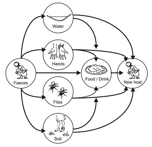 Group 1. Faecal-oral infections | Epidemic Control Toolkit